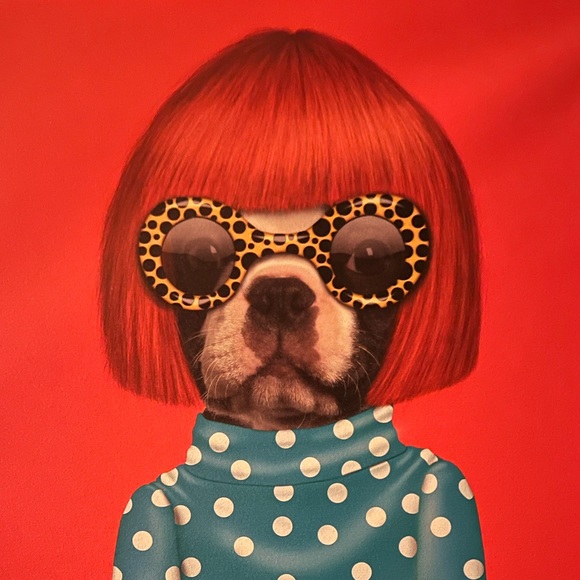 Meet your Posher, Clementine’s Closet - Picture 1 of 2